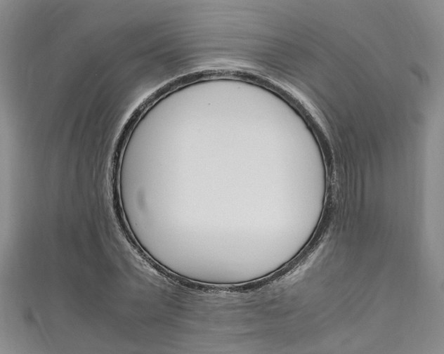 X0000111250783200907021019