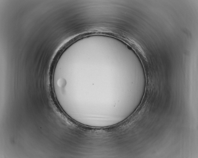 X0000111250784200907021019