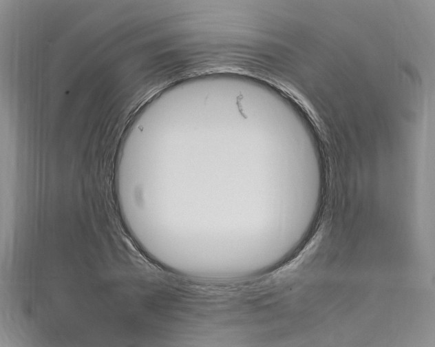 X0000111250785200907021019