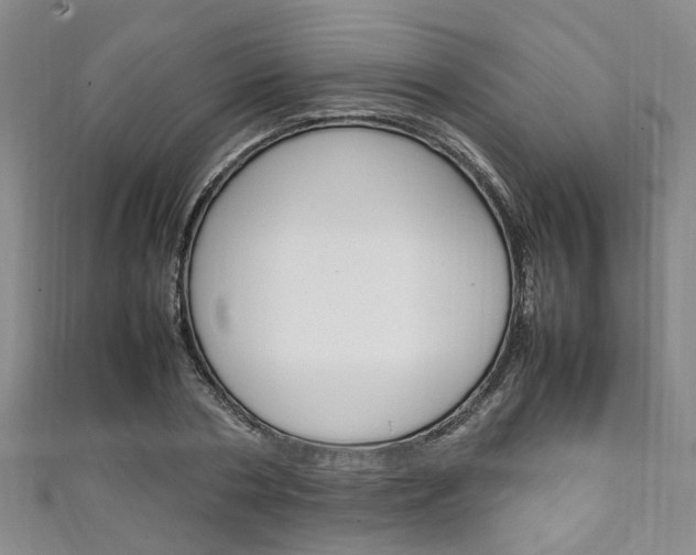 X0000111250786200907021019