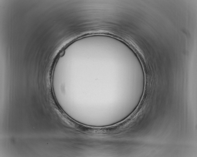X0000111250789200907021019