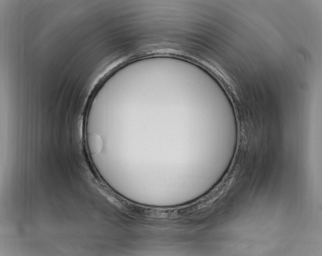 X0000111250790200907021019