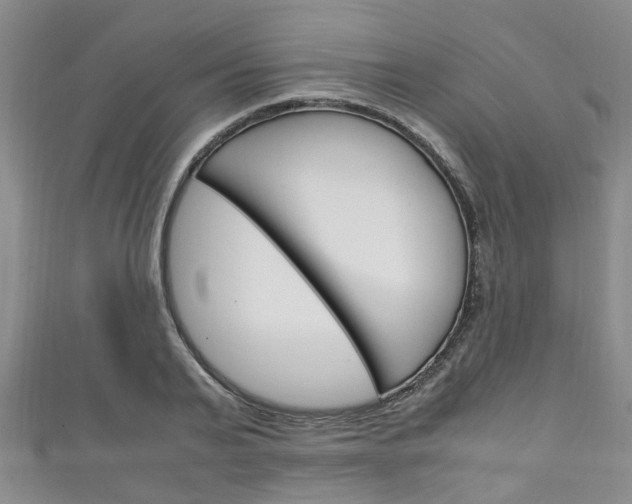 X0000111250791200907021019