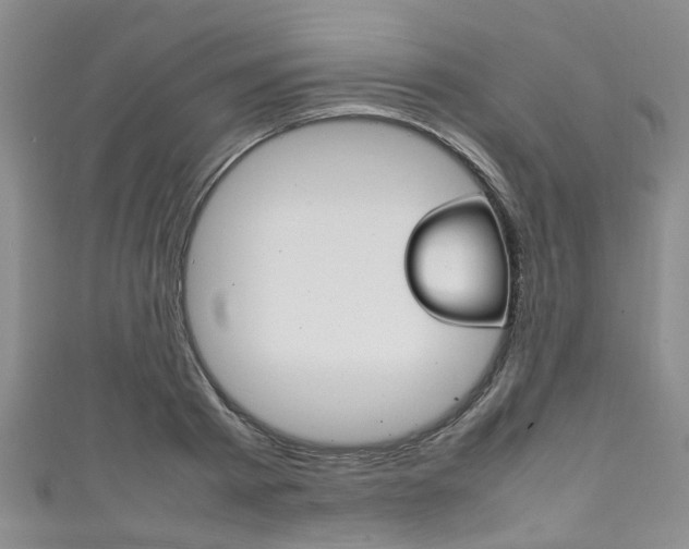 X0000111250793200907021019