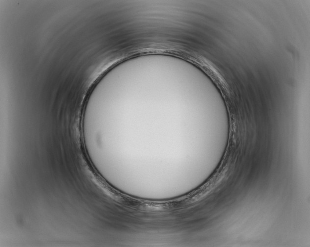 X0000111250794200907021019