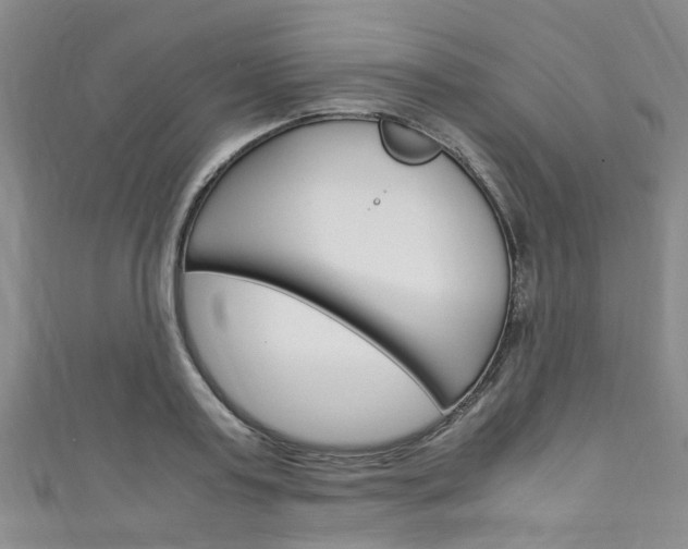 X0000111250795200907021019