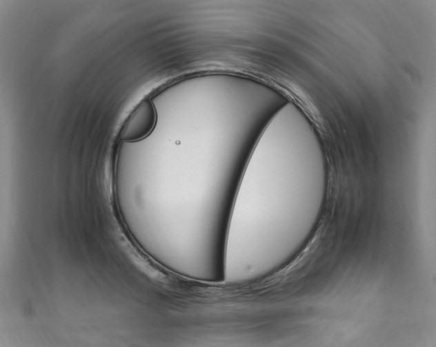 X0000111250796200907021019