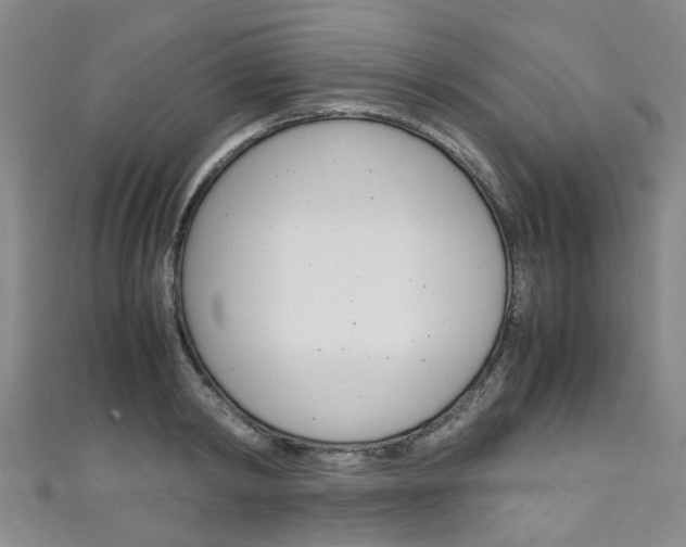 X0000111250798200907021018