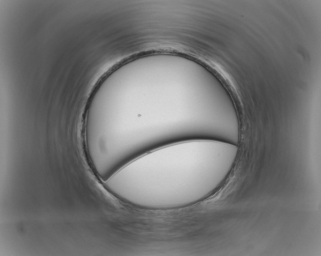 X0000111250799200907021018