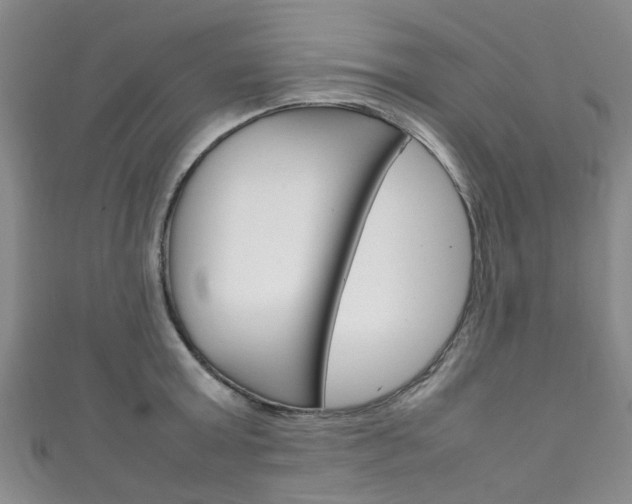 X0000111250803200907021018
