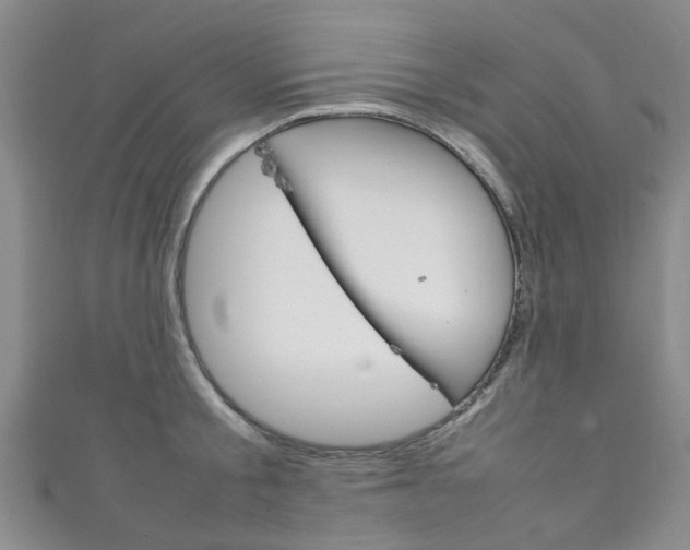X0000111250805200907021018