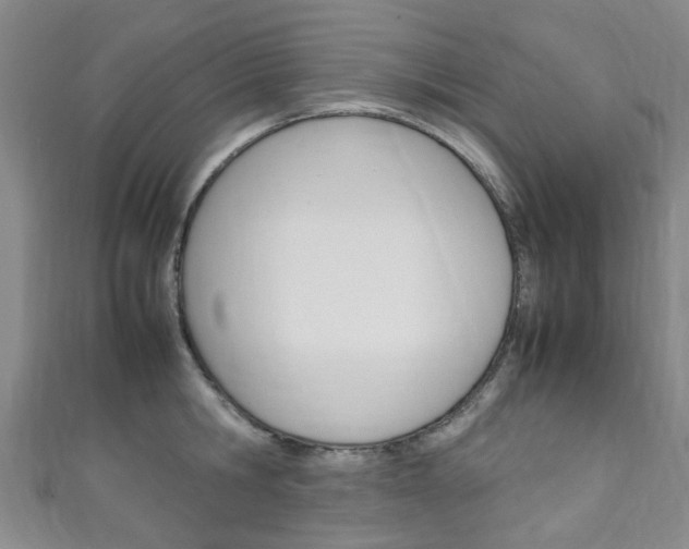 X0000111250806200907021018