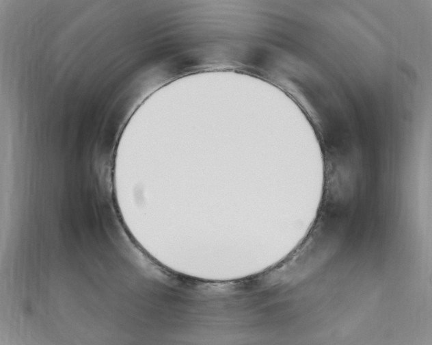 X0000111250810200907021018