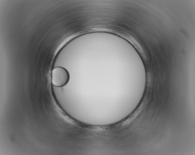 X0000111250814200907021018