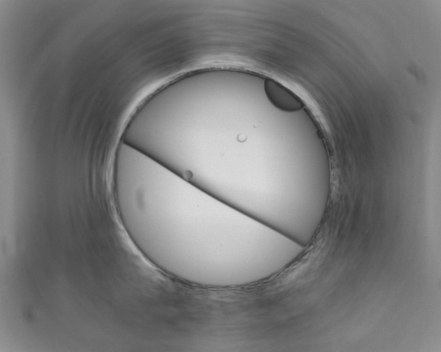 X0000111250815200907021018