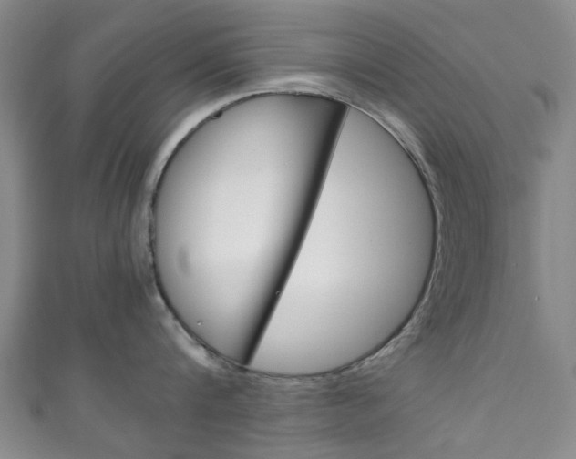 X0000111250816200907021018