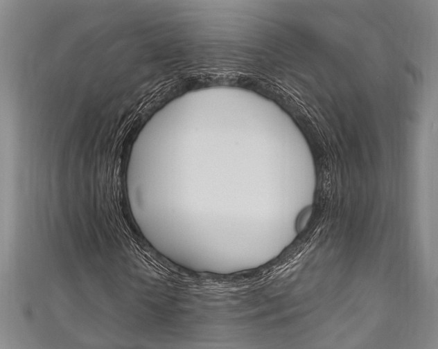 X0000111250818200907021018