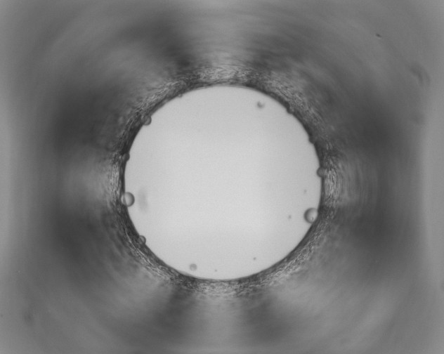 X0000111250820200907021018