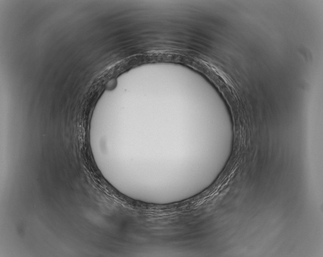 X0000111250821200907021018