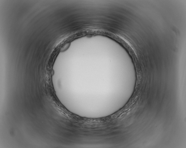 X0000111250823200907021018