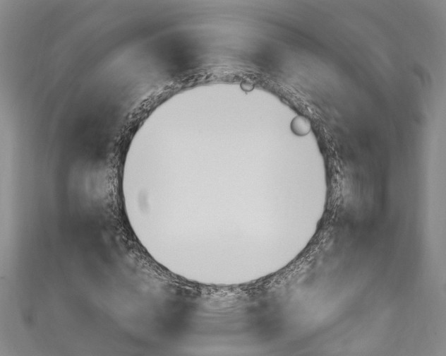 X0000111250824200907021018