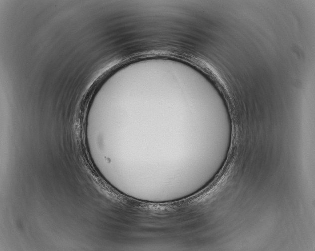 X0000111250827200907021018