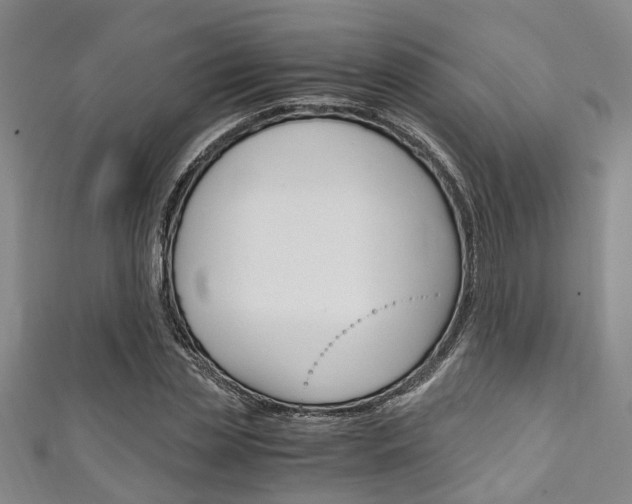 X0000111250829200907021018