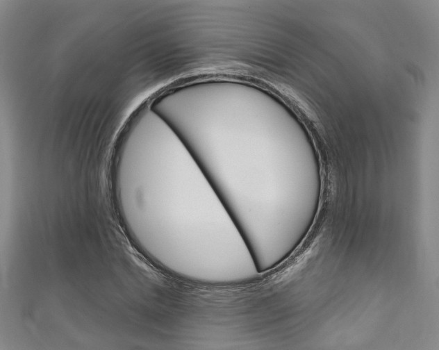 X0000111250830200907021018