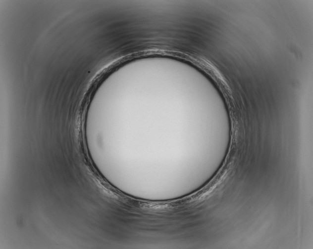 X0000111250831200907021018