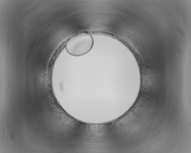 X0000111250832200907021018