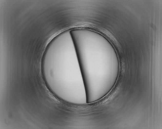 X0000111250834200907021018