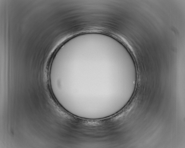 X0000111250835200907021018