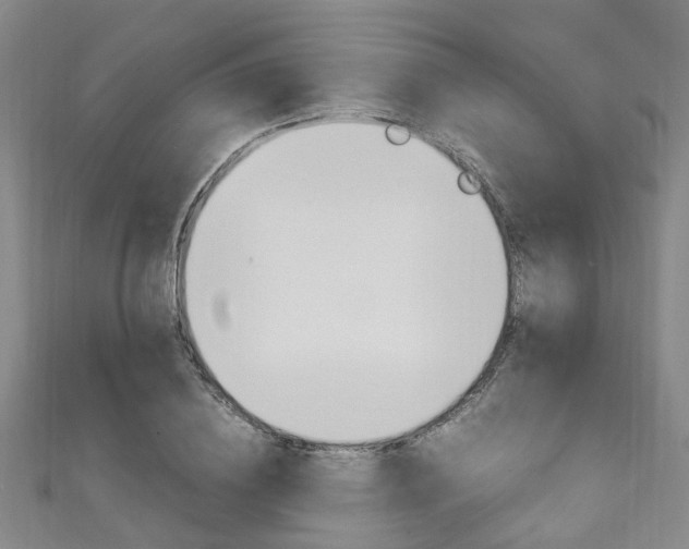 X0000111250836200907021018