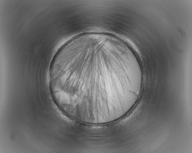 X0000111250839200907021018