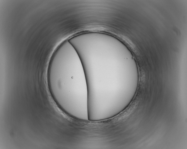 X0000111250840200907021018