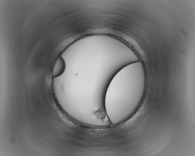 X0000111250841200907021018