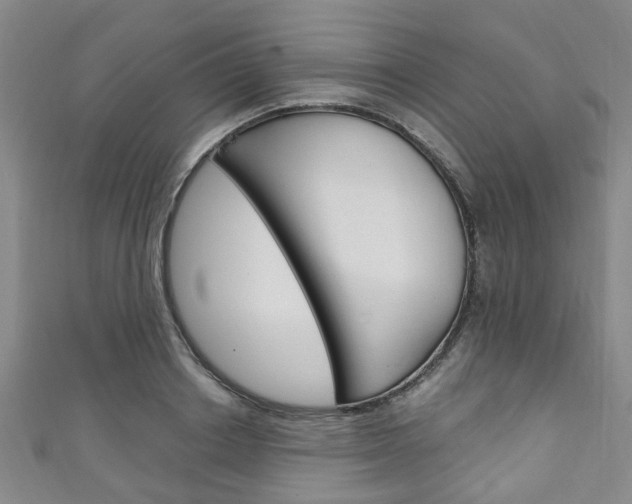 X0000111250842200907021018