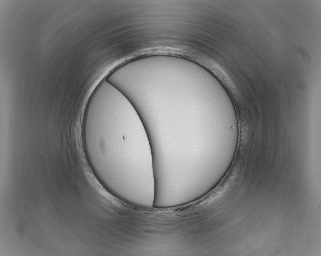 X0000111250844200907021018