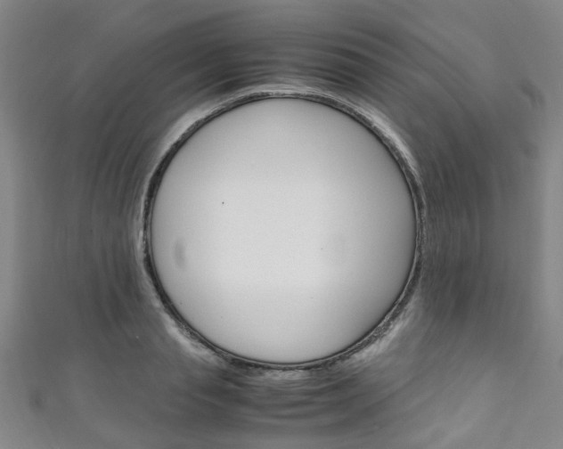 X0000111250845200907021018
