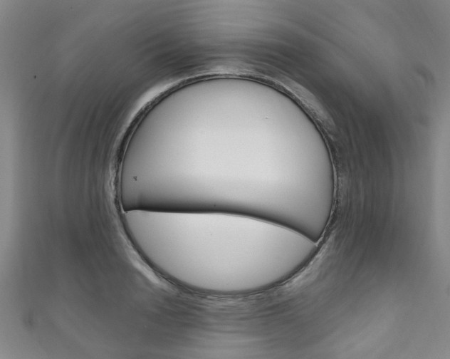 X0000111250846200907021018
