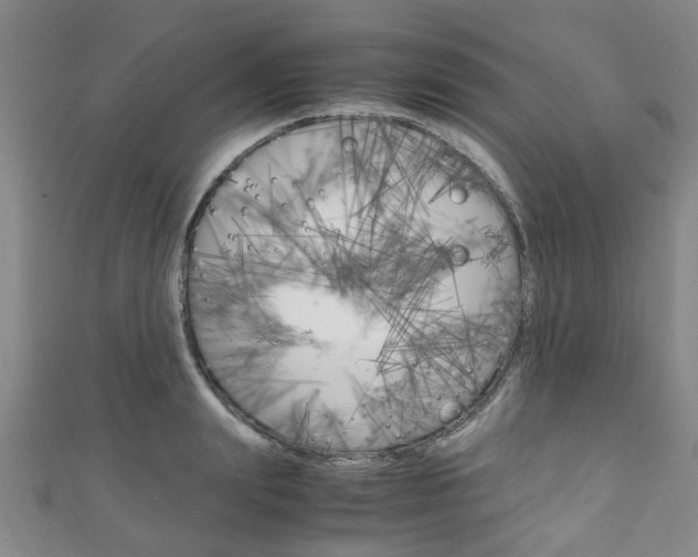 X0000111250847200907021018