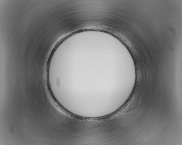 X0000111250848200907021018