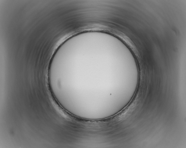 X0000111250850200907021018