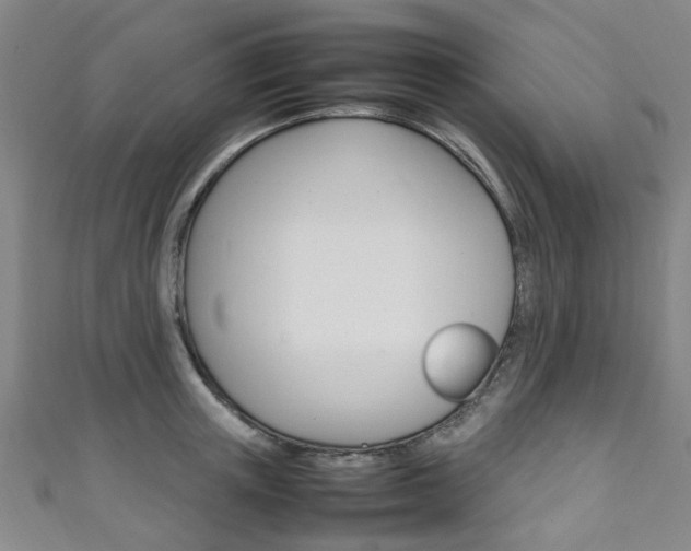 X0000111250851200907021018