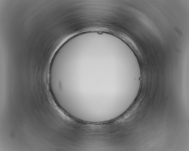 X0000111250852200907021018