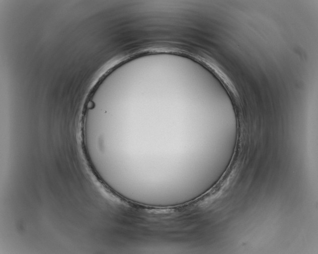 X0000111250853200907021018