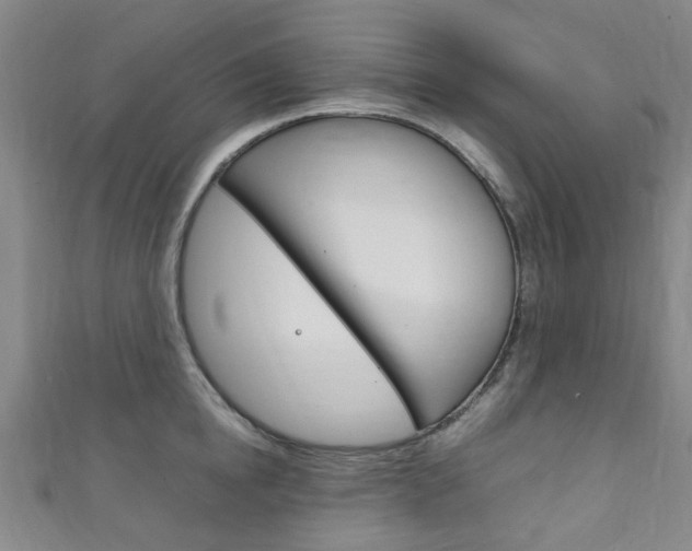 X0000111250854200907021018