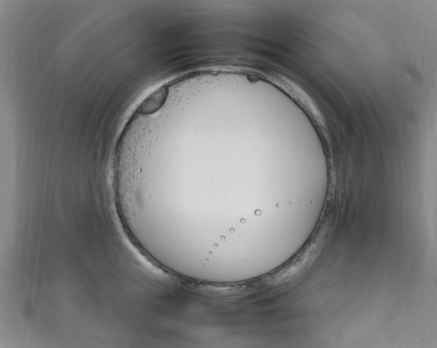 X0000111250855200907021018
