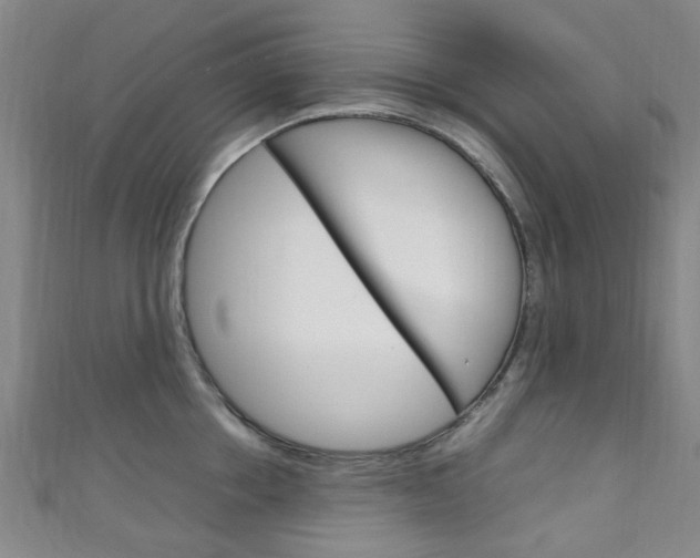 X0000111250858200907021018