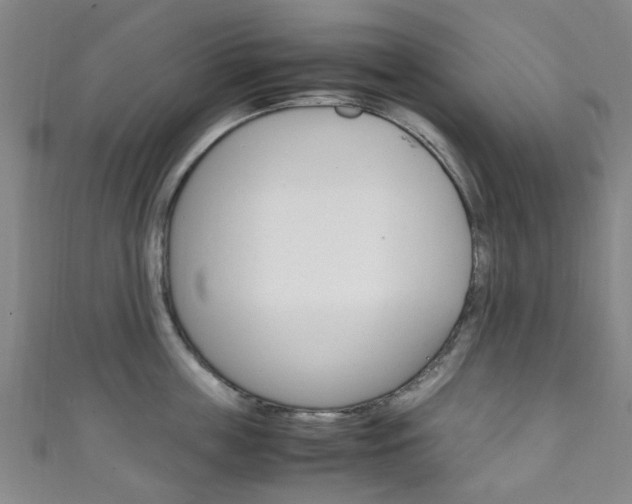 X0000111250859200907021018